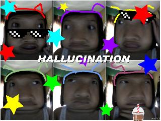 DIGITAL HALLUCINATION