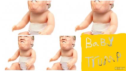 baby trump