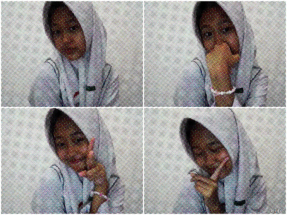 Pixect gallery photo #vvPRBnPfd